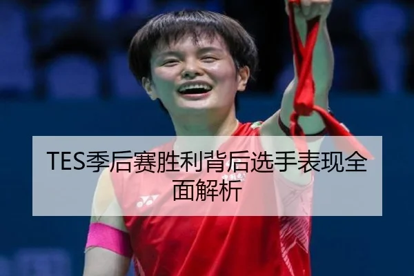 TES季后赛胜利背后选手表现全面解析 - ledong